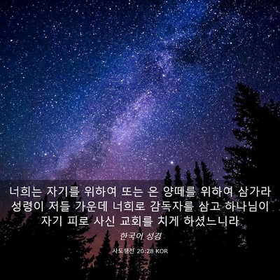 Picture 03 - 사도행전 20:28 KOR - 너희는 자기를 위하여 또는 온 - Bible Verse Picture
