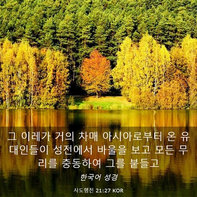 Picture 03 - 사도행전 21:27 KOR - 그 이레가 거의 차매 아시아로부터 - Bible Verse Picture