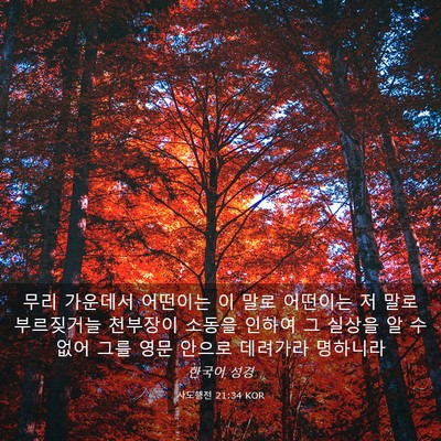 Picture 03 - 사도행전 21:34 KOR - 무리 가운데서 어떤이는 이 말로 - Bible Verse Picture
