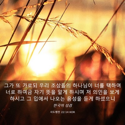 Picture 03 - 사도행전 22:14 KOR - 그가 또 가로되 우리 조상들의 - Bible Verse Picture