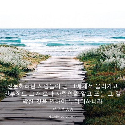 Picture 03 - 사도행전 22:29 KOR - 신문하려던 사람들이 곧 그에게서 - Bible Verse Picture