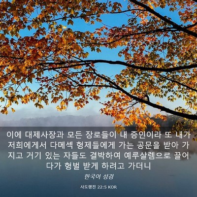 Picture 03 - 사도행전 22:5 KOR - 이에 대제사장과 모든 장로들이 내 - Bible Verse Picture