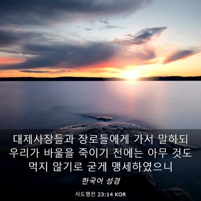 Picture 03 - 사도행전 23:14 KOR - 대제사장들과 장로들에게 가서 - Bible Verse Picture
