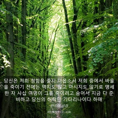 Picture 03 - 사도행전 23:21 KOR - 당신은 저희 청함을 좇지 마옵소서 - Bible Verse Picture
