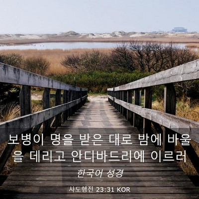 Picture 03 - 사도행전 23:31 KOR - 보병이 명을 받은 대로 밤에 바울을 - Bible Verse Picture