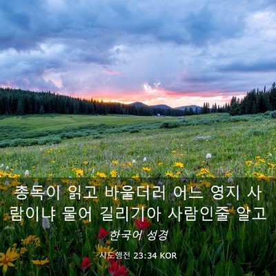 Picture 03 - 사도행전 23:34 KOR - 총독이 읽고 바울더러 어느 영지 - Bible Verse Picture
