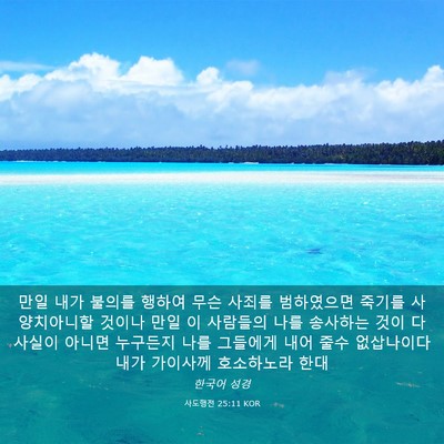 Picture 03 - 사도행전 25:11 KOR - 만일 내가 불의를 행하여 무슨 - Bible Verse Picture