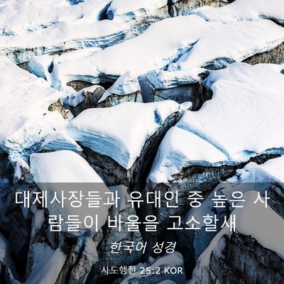 Picture 03 - 사도행전 25:2 KOR - 대제사장들과 유대인 중 높은 - Bible Verse Picture