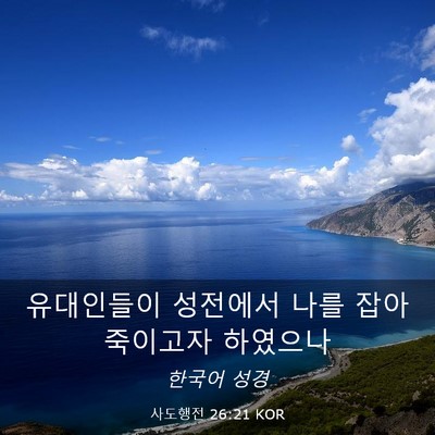Picture 03 - 사도행전 26:21 KOR - 유대인들이 성전에서 나를 잡아 - Bible Verse Picture