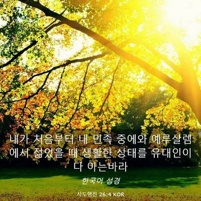 Picture 03 - 사도행전 26:4 KOR - 내가 처음부터 내 민족 중에와 - Bible Verse Picture