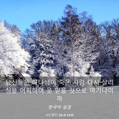 Picture 03 - 사도행전 26:8 KOR - 당신들은 하나님이 죽은 사람 다시 - Bible Verse Picture