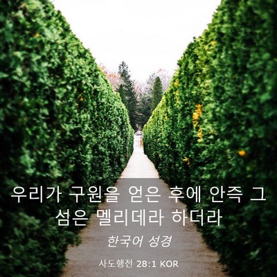 Picture 03 - 사도행전 28:1 KOR - 우리가 구원을 얻은 후에 안즉 그 - Bible Verse Picture
