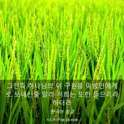 Picture 03 - 사도행전 28:28 KOR - 그런즉 하나님의 이 구원을 - Bible Verse Picture