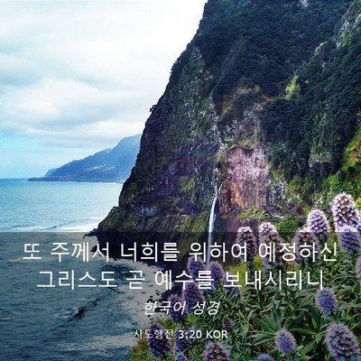 Picture 03 - 사도행전 3:20 KOR - 또 주께서 너희를 위하여 예정하신 - Bible Verse Picture