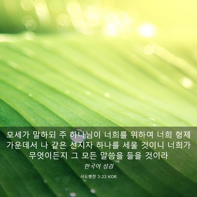 Picture 03 - 사도행전 3:22 KOR - 모세가 말하되 주 하나님이 너희를 - Bible Verse Picture