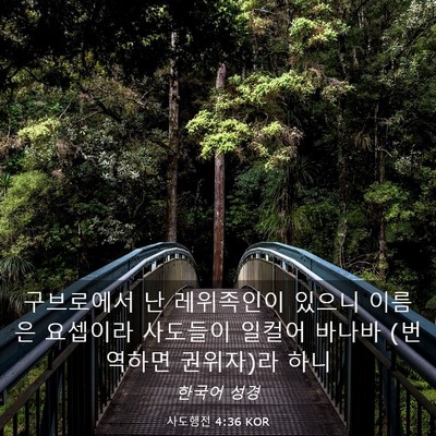 Picture 03 - 사도행전 4:36 KOR - 구브로에서 난 레위족인이 있으니 - Bible Verse Picture