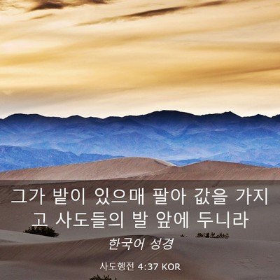 Picture 03 - 사도행전 4:37 KOR - 그가 밭이 있으매 팔아 값을 가지고 - Bible Verse Picture