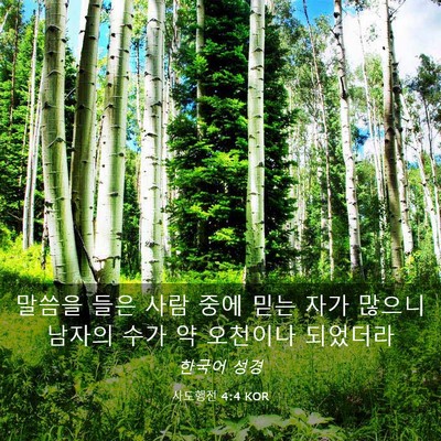 Picture 03 - 사도행전 4:4 KOR - 말씀을 들은 사람 중에 믿는 자가 - Bible Verse Picture