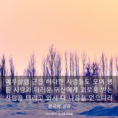 Picture 03 - 사도행전 5:16 KOR - 예루살렘 근읍 허다한 사람들도 모여 - Bible Verse Picture