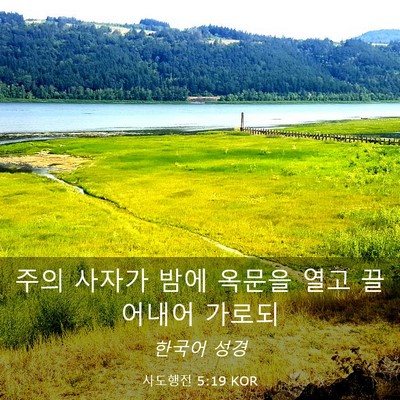 Picture 03 - 사도행전 5:19 KOR - 주의 사자가 밤에 옥문을 열고 - Bible Verse Picture