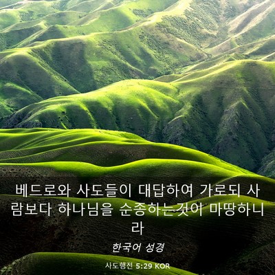 Picture 03 - 사도행전 5:29 KOR - 베드로와 사도들이 대답하여 가로되 - Bible Verse Picture