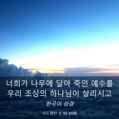Picture 03 - 사도행전 5:30 KOR - 너희가 나무에 달아 죽인 예수를 - Bible Verse Picture