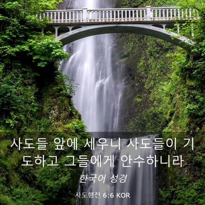 Picture 03 - 사도행전 6:6 KOR - 사도들 앞에 세우니 사도들이 - Bible Verse Picture