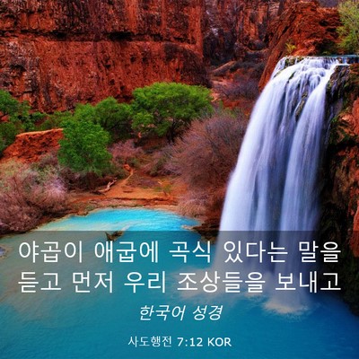 Picture 03 - 사도행전 7:12 KOR - 야곱이 애굽에 곡식 있다는 말을 - Bible Verse Picture