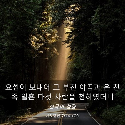 Picture 03 - 사도행전 7:14 KOR - 요셉이 보내어 그 부친 야곱과 온 - Bible Verse Picture