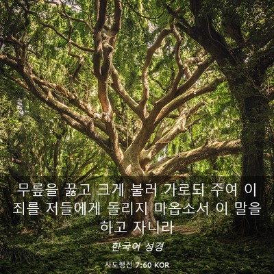 Picture 03 - 사도행전 7:60 KOR - 무릎을 꿇고 크게 불러 가로되 주여 - Bible Verse Picture