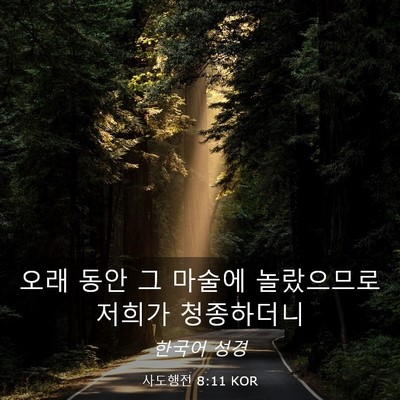 Picture 03 - 사도행전 8:11 KOR - 오래 동안 그 마술에 놀랐으므로 - Bible Verse Picture