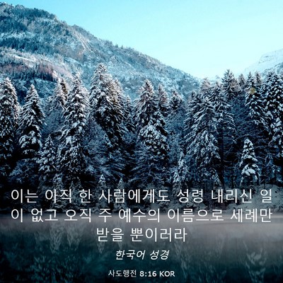 Picture 03 - 사도행전 8:16 KOR - 이는 아직 한 사람에게도 성령 - Bible Verse Picture