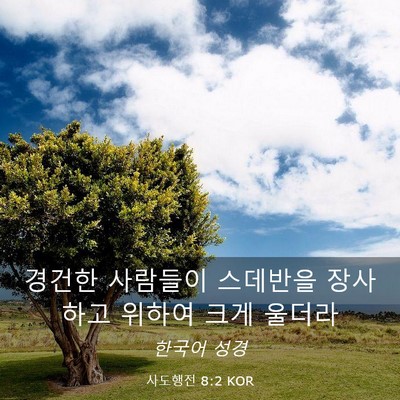 Picture 03 - 사도행전 8:2 KOR - 경건한 사람들이 스데반을 장사하고 - Bible Verse Picture