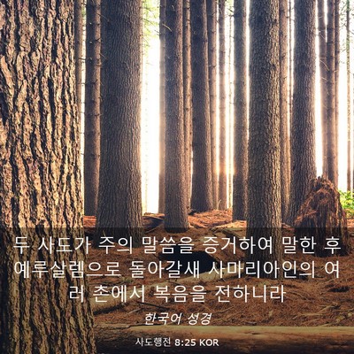 Picture 03 - 사도행전 8:25 KOR - 두 사도가 주의 말씀을 증거하여 - Bible Verse Picture