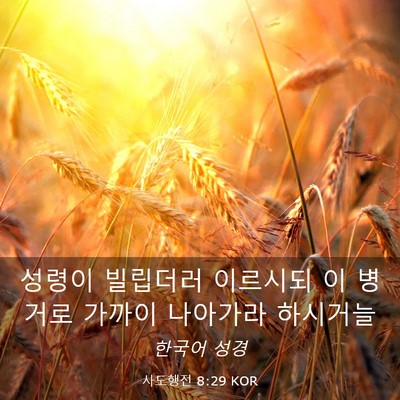 Picture 03 - 사도행전 8:29 KOR - 성령이 빌립더러 이르시되 이 병거로 - Bible Verse Picture