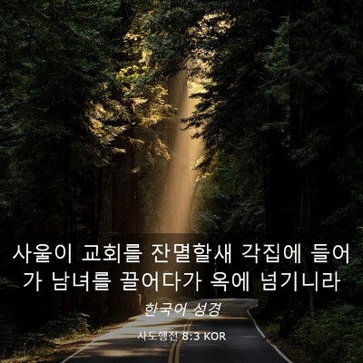 Picture 03 - 사도행전 8:3 KOR - 사울이 교회를 잔멸할새 각집에 - Bible Verse Picture