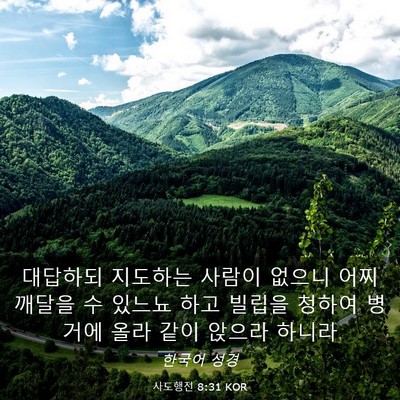 Picture 03 - 사도행전 8:31 KOR - 대답하되 지도하는 사람이 없으니 - Bible Verse Picture