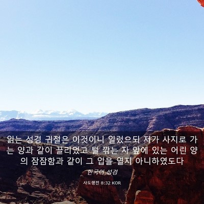 Picture 03 - 사도행전 8:32 KOR - 읽는 성경 귀절은 이것이니 일렀으되 - Bible Verse Picture