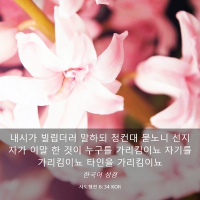 Picture 03 - 사도행전 8:34 KOR - 내시가 빌립더러 말하되 청컨대 - Bible Verse Picture