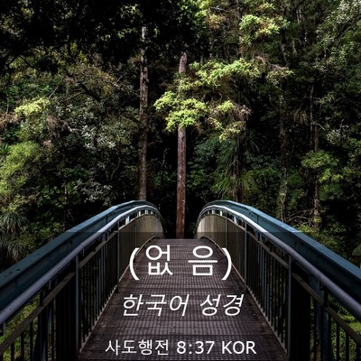 Picture 03 - 사도행전 8:37 KOR - (없 - Bible Verse Picture