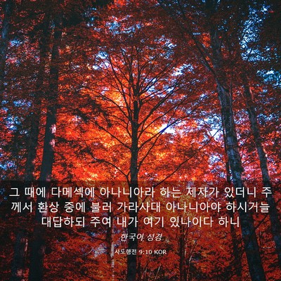 Picture 03 - 사도행전 9:10 KOR - 그 때에 다메섹에 아나니아라 하는 - Bible Verse Picture