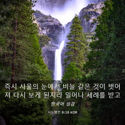 Picture 03 - 사도행전 9:18 KOR - 즉시 사울의 눈에서 비늘 같은 것이 - Bible Verse Picture