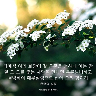 Picture 03 - 사도행전 9:2 KOR - 다메섹 여러 회당에 갈 공문을 - Bible Verse Picture