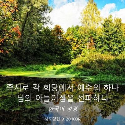 Picture 03 - 사도행전 9:20 KOR - 즉시로 각 회당에서 예수의 하나님의 - Bible Verse Picture