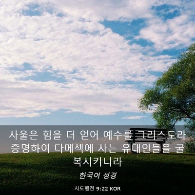 Picture 03 - 사도행전 9:22 KOR - 사울은 힘을 더 얻어 예수를 - Bible Verse Picture