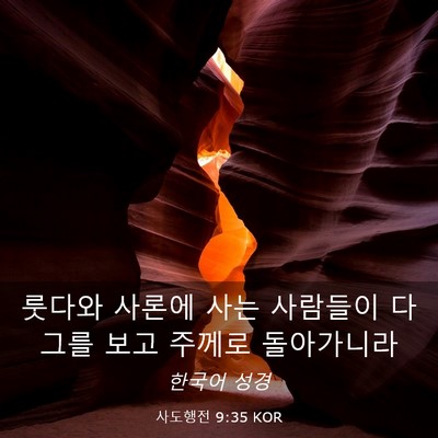 Picture 03 - 사도행전 9:35 KOR - 룻다와 사론에 사는 사람들이 다 - Bible Verse Picture