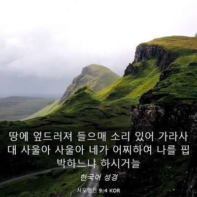 Picture 03 - 사도행전 9:4 KOR - 땅에 엎드러져 들으매 소리 있어 - Bible Verse Picture