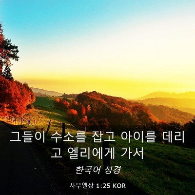 Picture 03 - 사무엘상 1:25 KOR - 그들이 수소를 잡고 아이를 데리고 - Bible Verse Picture