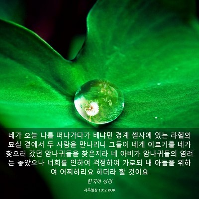 Picture 03 - 사무엘상 10:2 KOR - 네가 오늘 나를 떠나가다가 베냐민 - Bible Verse Picture