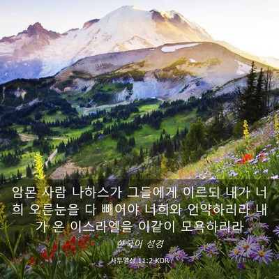 Picture 03 - 사무엘상 11:2 KOR - 암몬 사람 나하스가 그들에게 이르되 - Bible Verse Picture
